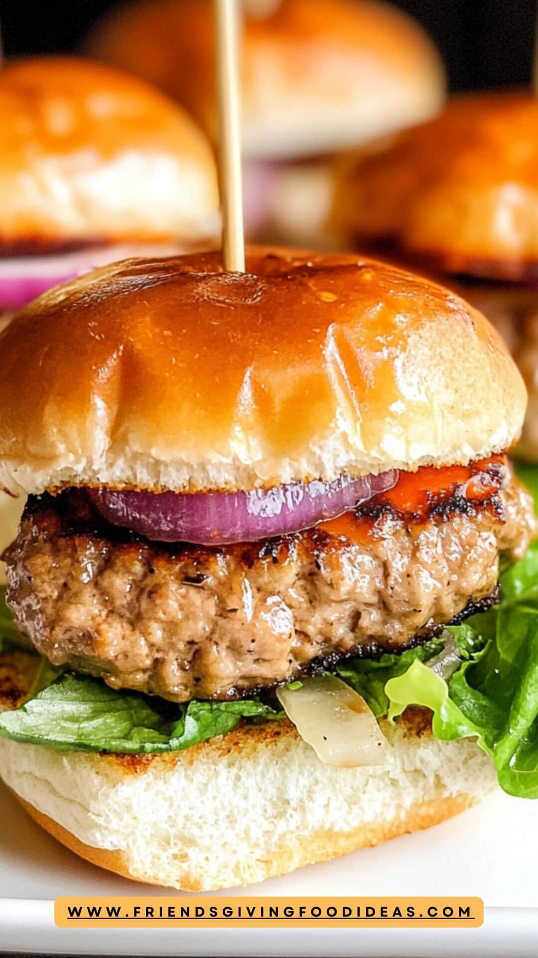 Best Turkey Burger Sliders Recipe