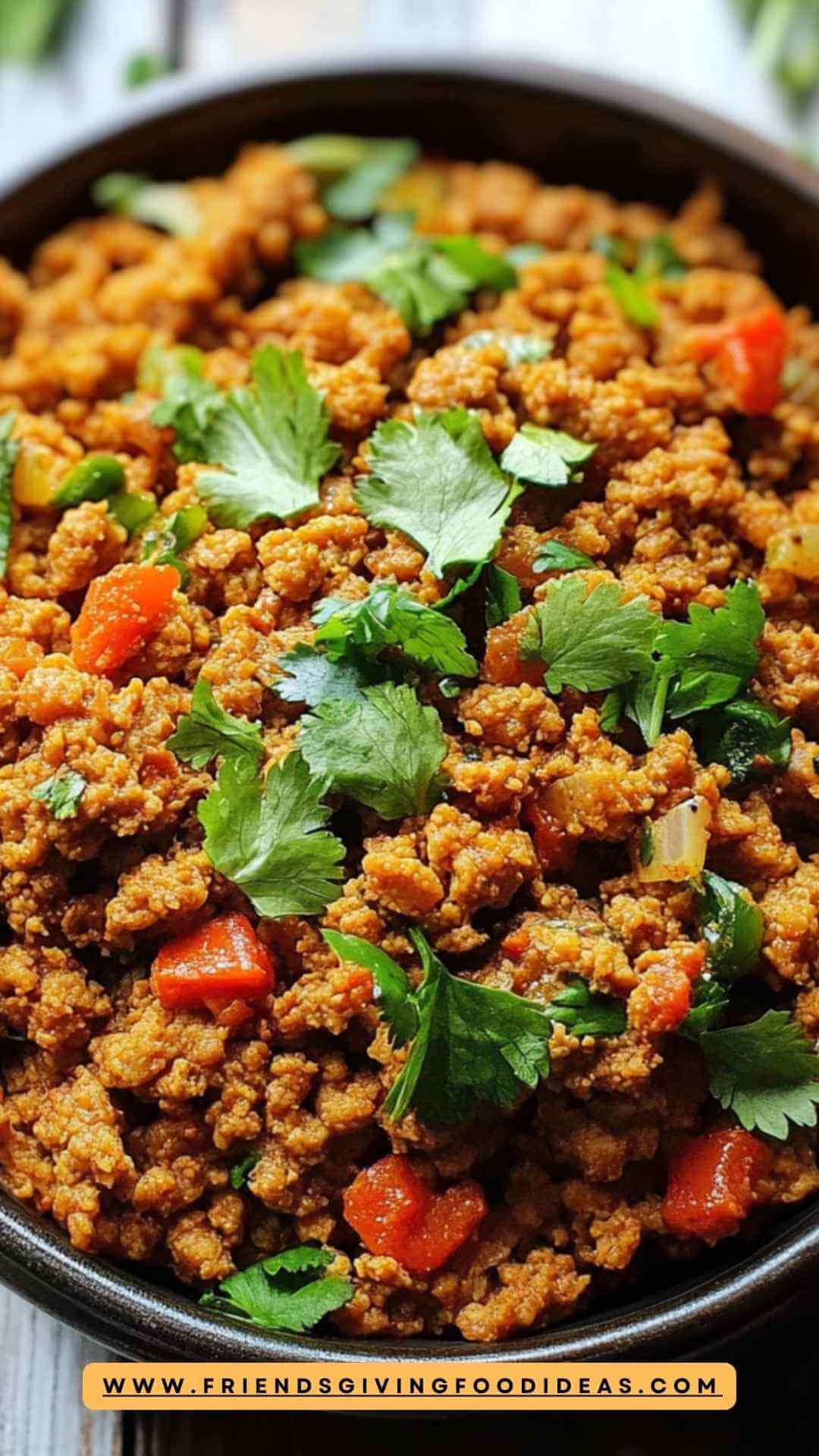 Best Turkey Keema Recipe