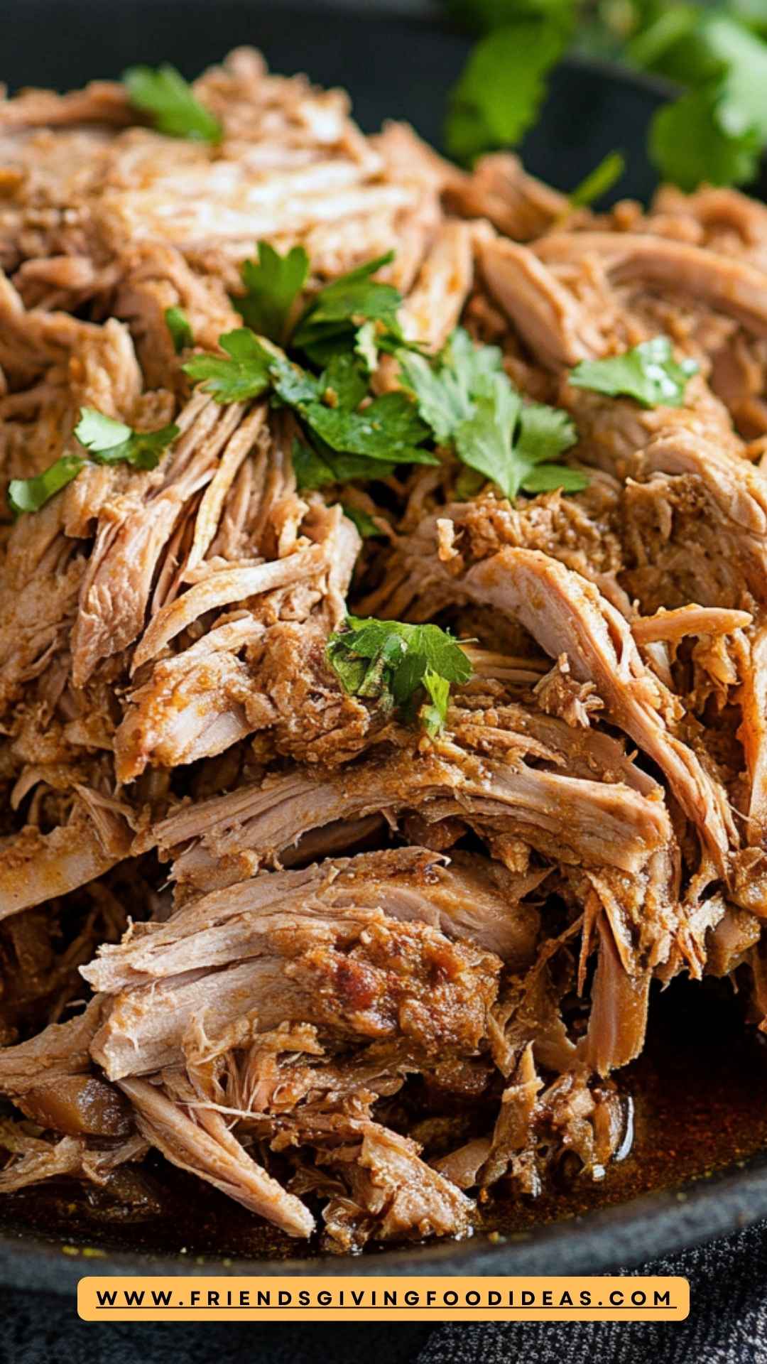 Best Pulled Turkey Recipe