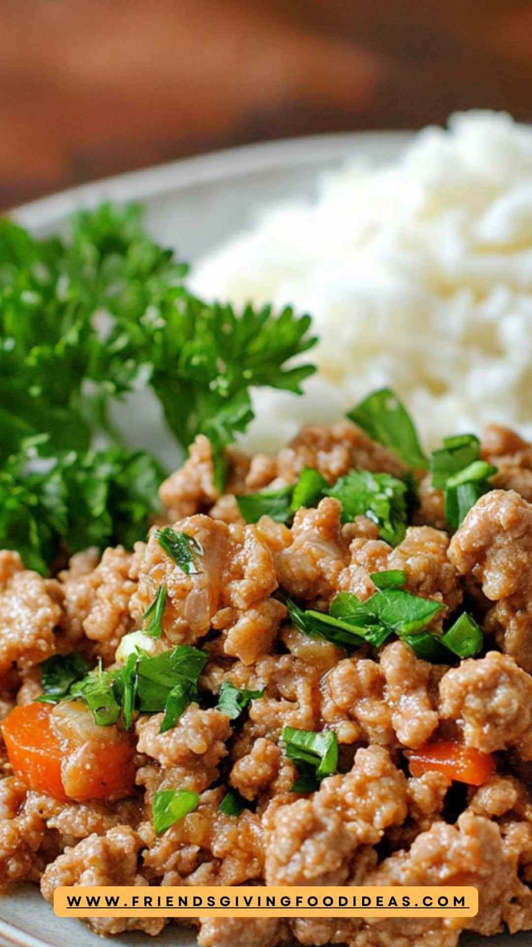 Best Weight Watchers Ground Turkey Recipe