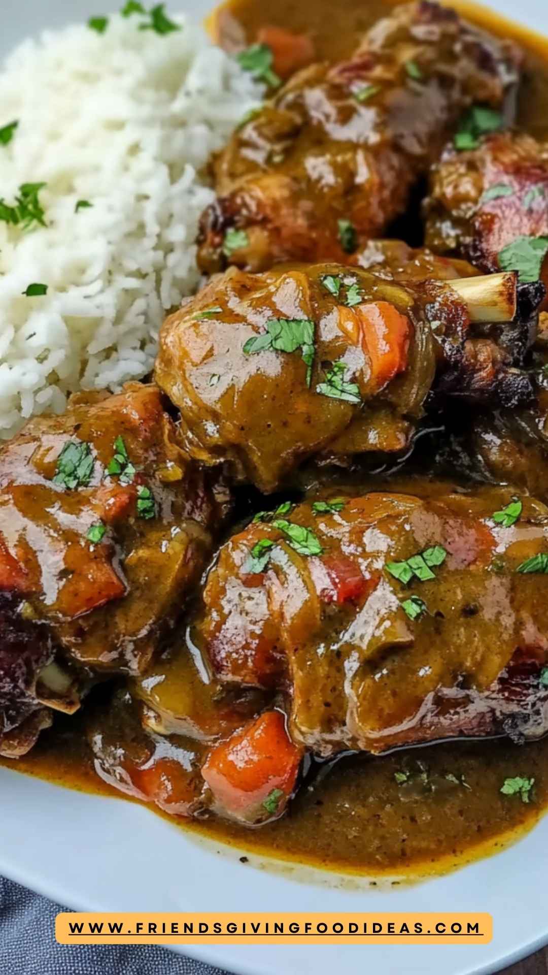 Best Smothered Turkey Wing Recipe