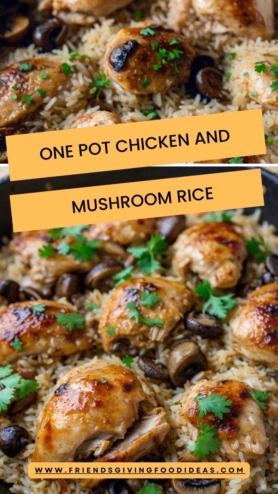 One Pot Chicken and Mushroom Rice