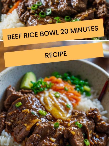 Beef Rice Bowl 20 Minutes