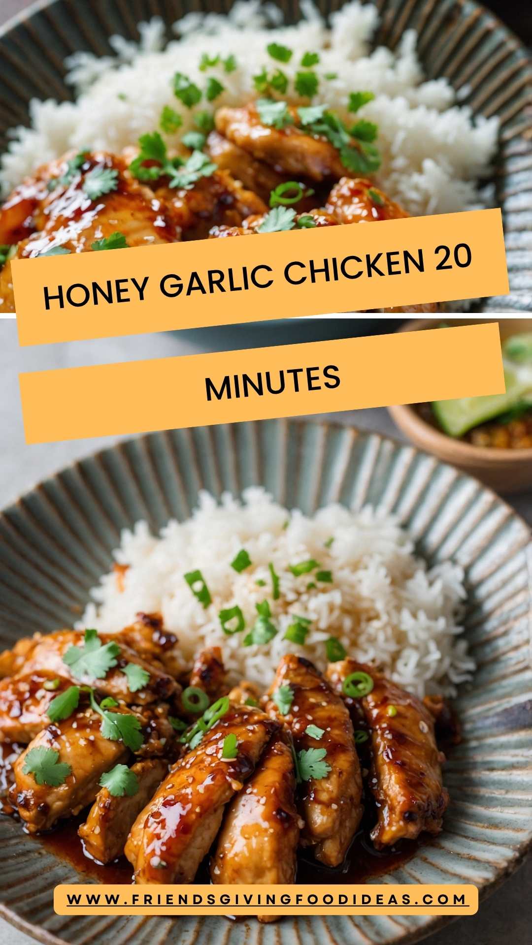 Honey Garlic Chicken 20 Minutes – Friendsgiving Food Ideas